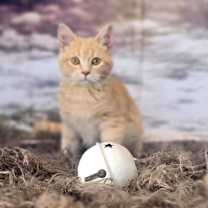 Thumbnail photo of Gabby #3