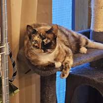 Thumbnail photo of Opera #3