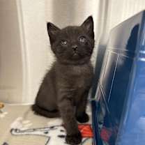 Thumbnail photo of Jason #2