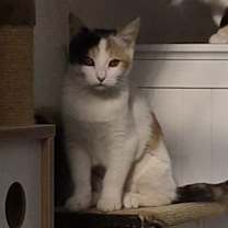 Thumbnail photo of Zena #3