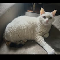 Thumbnail photo of Ashley #1