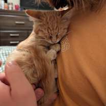 Thumbnail photo of Yammy #4