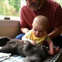 Thumbnail photo of Kitara #4