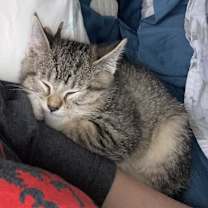 Thumbnail photo of Diana #3