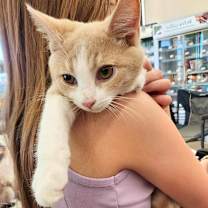 Thumbnail photo of Hubert #1