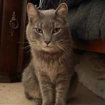 Thumbnail photo of Foggy #2