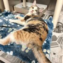 Thumbnail photo of Shawna #1