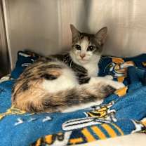 Thumbnail photo of Shawna #2