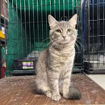 Thumbnail photo of Lena (w/ Lily) #1