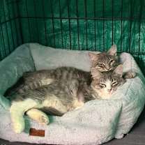 Thumbnail photo of Lena (w/ Lily) #2