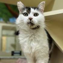 Thumbnail photo of Mary~25/26-0192 #1