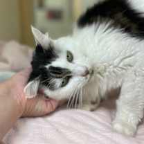 Thumbnail photo of Mary~25/26-0192 #2