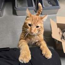 Thumbnail photo of Dior #2