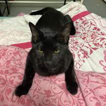 Thumbnail photo of Jack #3