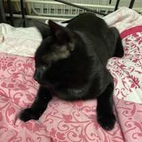 Thumbnail photo of Jack #4