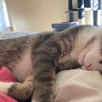 Thumbnail photo of Max #4