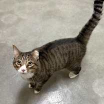 Thumbnail photo of Rae Rae #2