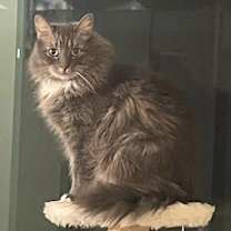 Thumbnail photo of Boots #1