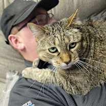 Thumbnail photo of Chaos #2