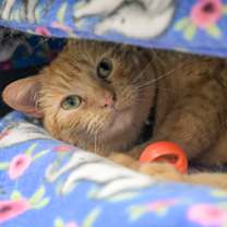 Thumbnail photo of Twin #1