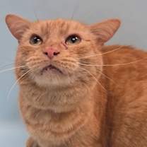 Thumbnail photo of Twin #2