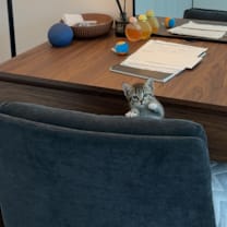 Thumbnail photo of Nara #3