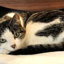 Thumbnail photo of Darwin #2