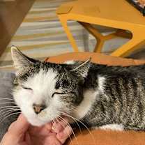 Thumbnail photo of Darwin #3