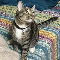 Thumbnail photo of Keefe #3