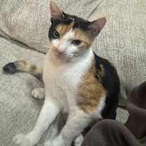 Thumbnail photo of Kelly #3