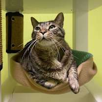 Thumbnail photo of Kirk #2