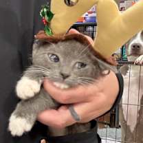 Thumbnail photo of Clawdia #3