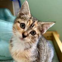 Thumbnail photo of Ariel #3