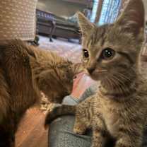 Thumbnail photo of Cleopatra #4