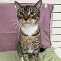 Thumbnail photo of Telford #3