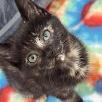 Thumbnail photo of Kiki #1