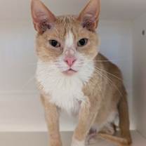 Thumbnail photo of Harlow #2