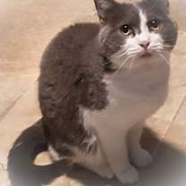 Thumbnail photo of Ethan #1