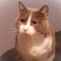 Thumbnail photo of Ethan #2