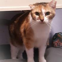 Thumbnail photo of Babette #2