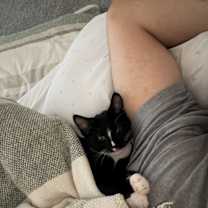 Thumbnail photo of Django #3