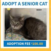 Thumbnail photo of Mazey(fta) #2