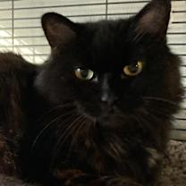 Thumbnail photo of Davina #1