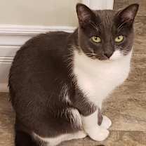 Thumbnail photo of Andy #2