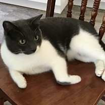 Thumbnail photo of Andy #3