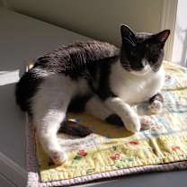 Thumbnail photo of Andy #4