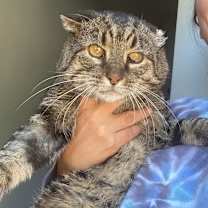 Thumbnail photo of Cheeks #1