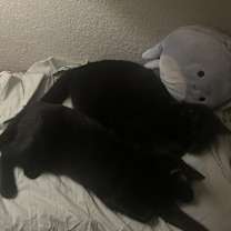 Thumbnail photo of Missy and Elouise #3