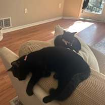 Thumbnail photo of Missy and Elouise #4