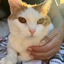 Thumbnail photo of Hope #3